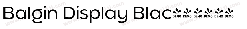 Balgin Display Blac字体转换